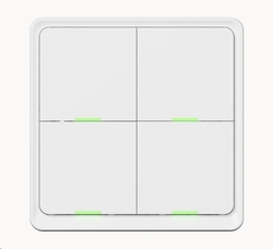 Tesla Smart Switch Quatro Battery